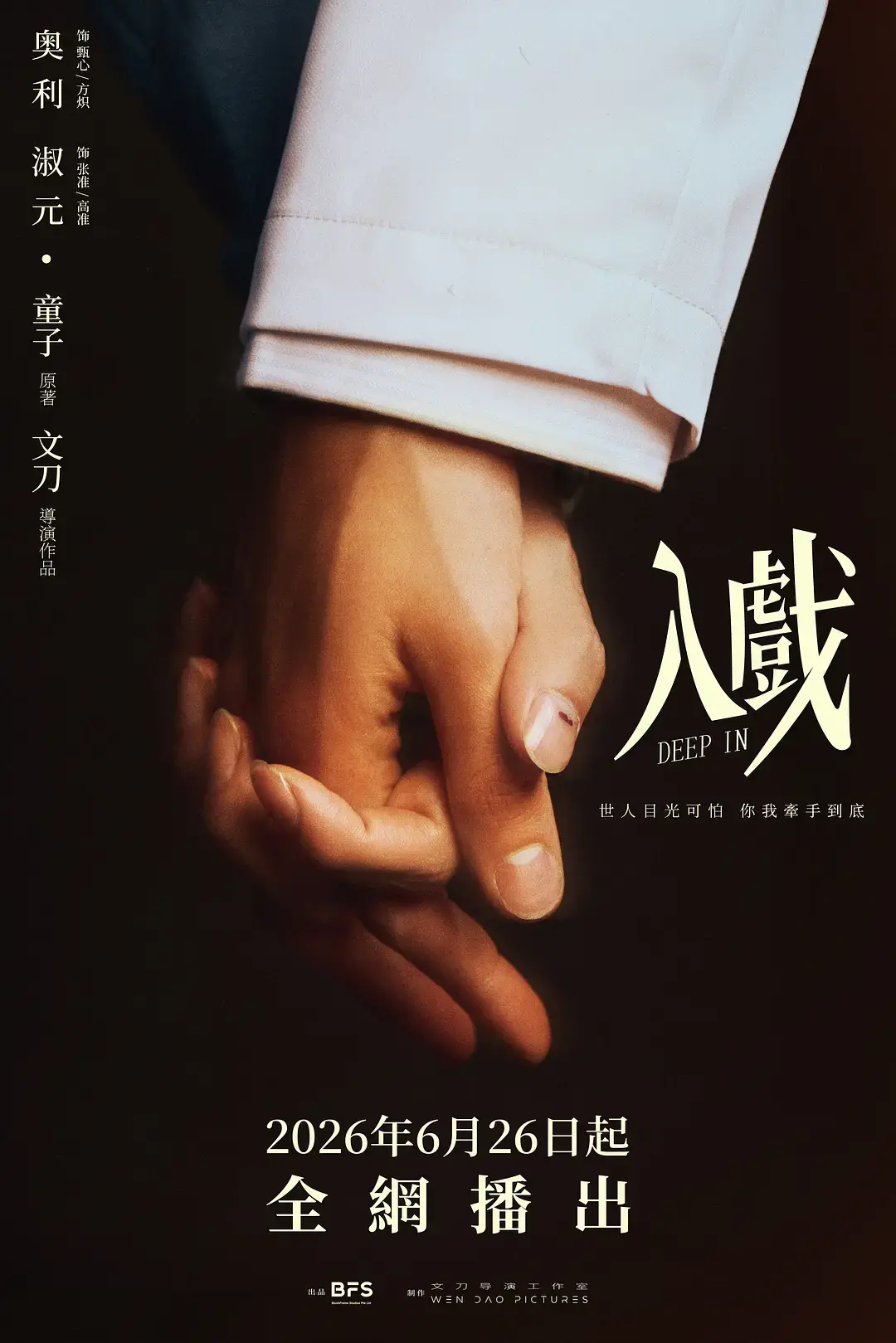 《入戏》高清完整版在线观看-2026双男主剧《入戏》全集-1080P无删减免费观看