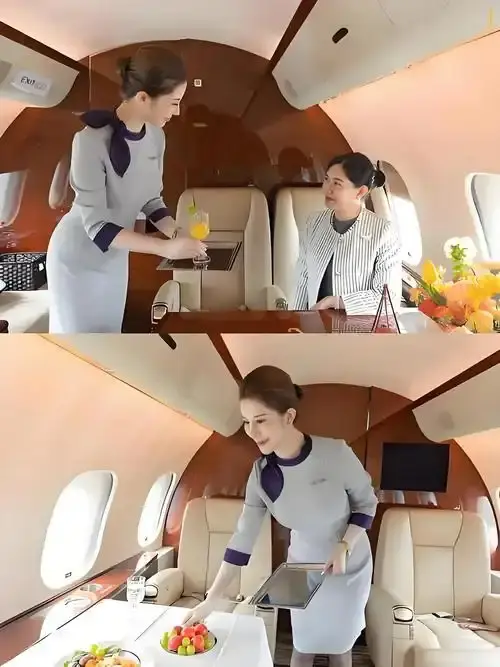 《私人航空/法国航空》未删减版高清在线观看-私人航空/法国航空完整版免费播放-无弹窗无广告畅享